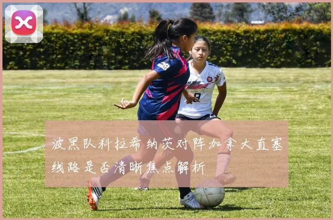 波黑队科拉希纳茨对阵加拿大直塞线路是否清晰焦点解析
