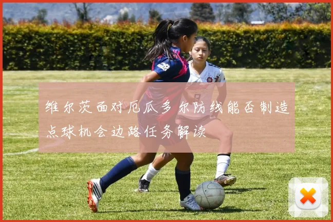 维尔茨面对厄瓜多尔防线能否制造点球机会边路任务解读