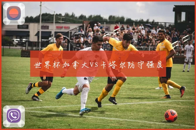 世界杯加拿大vs卡塔尔防守强度