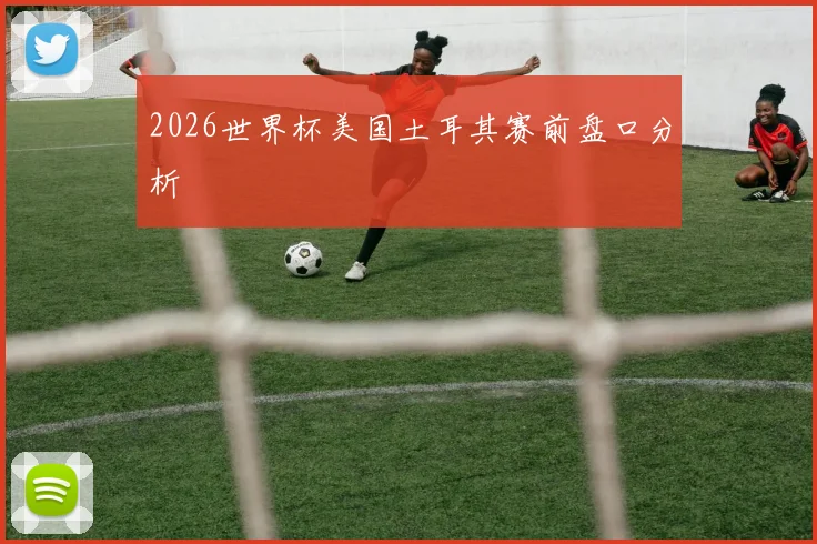 2026世界杯美国土耳其赛前盘口分析