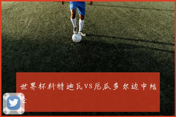 世界杯科特迪瓦vs厄瓜多尔边中结合