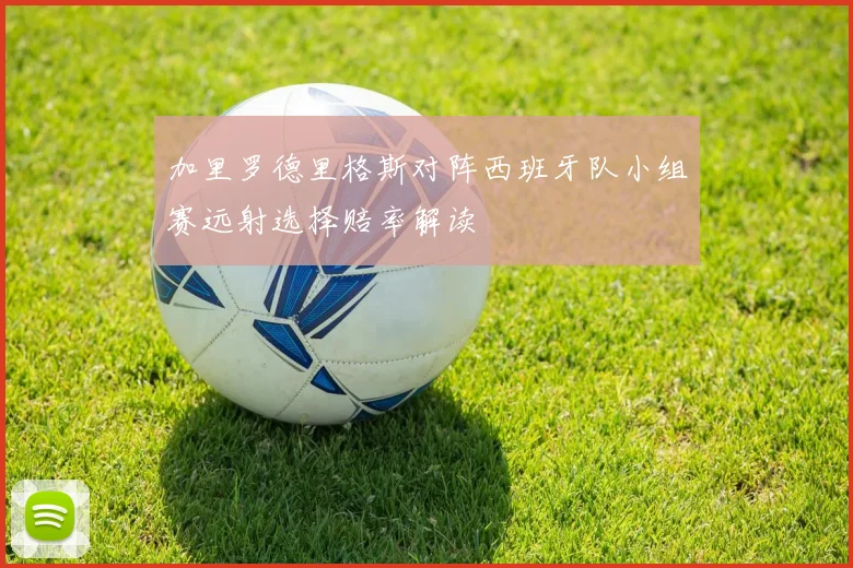 加里罗德里格斯对阵西班牙队小组赛远射选择赔率解读
