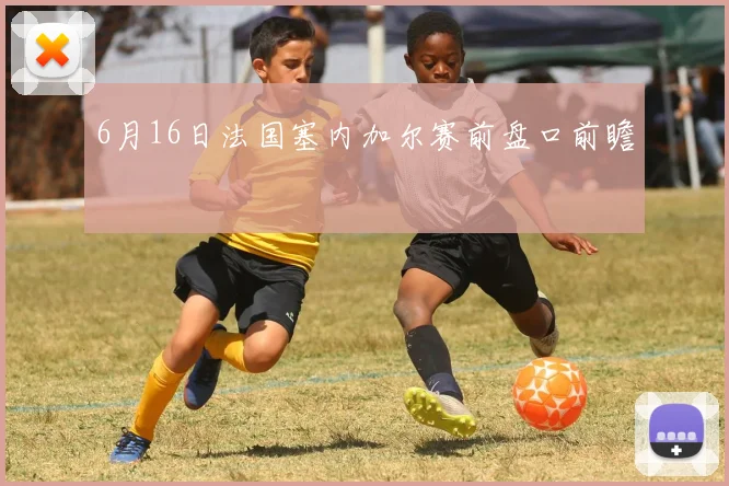 6月16日法国塞内加尔赛前盘口前瞻
